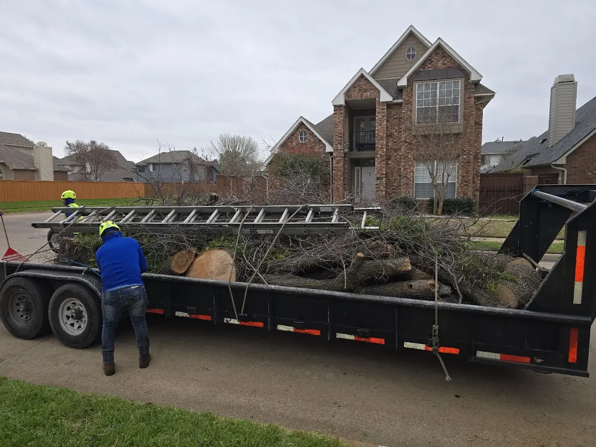 Expert Tree Fertilization with proper safety equipment in Watkins